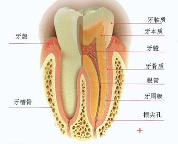 成都虫牙该怎么修复2